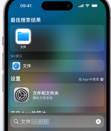 三门峡apple维修中心分享iPhone文件应用中存储和找到下载文件