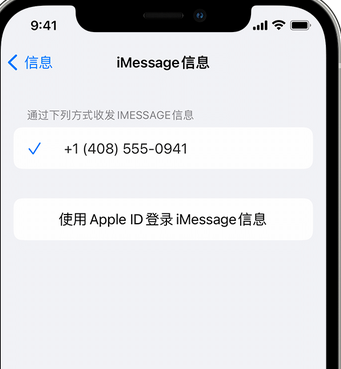 三门峡apple维修iPhone上无法正常发送iMessage信息 