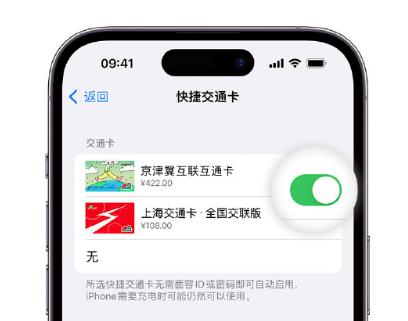 三门峡apple维修点分享iPhone上更换Apple Pay快捷交通卡手绘卡面 