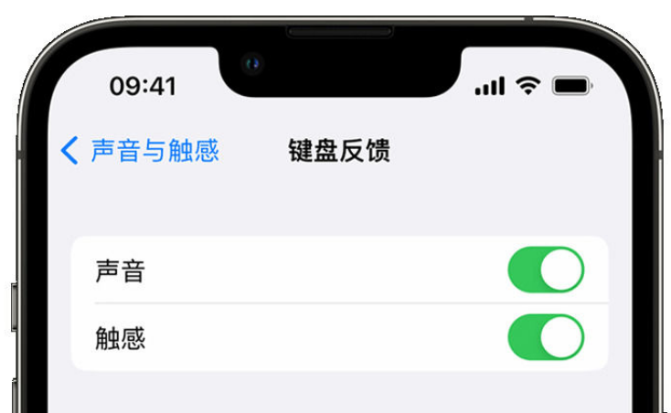 三门峡苹果手机维修分享iPhone 14触感键盘使用方法 