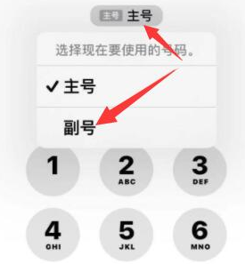 三门峡苹果14维修店分享iPhone 14 Pro Max使用副卡打电话的方法 