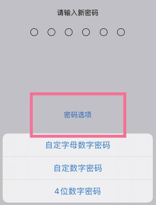 三门峡苹果14维修分享iPhone 14plus设置密码的方法 