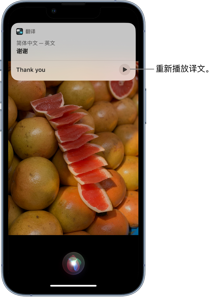 三门峡苹果14维修分享 iPhone 14 机型中使用 Siri：了解 Siri 能帮你做什么 