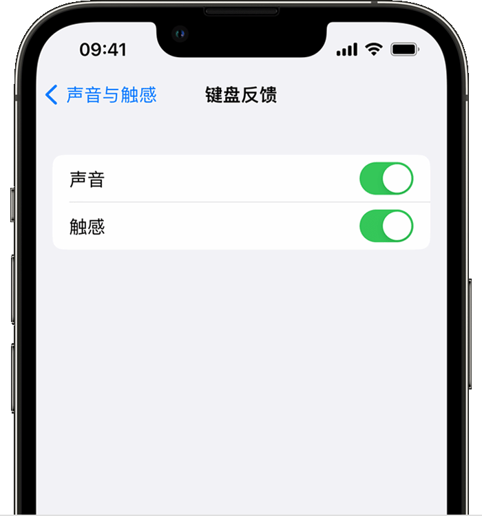 三门峡苹果14维修分享iPhone 14 系列机型如何开启键盘声音或触感反馈 