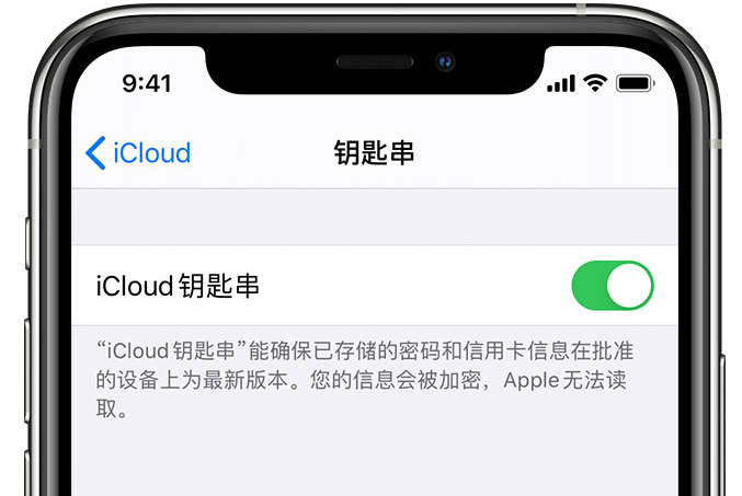 三门峡苹果手机维修分享在 iPhone 上开启 iCloud 钥匙串之后会储存哪些信息 