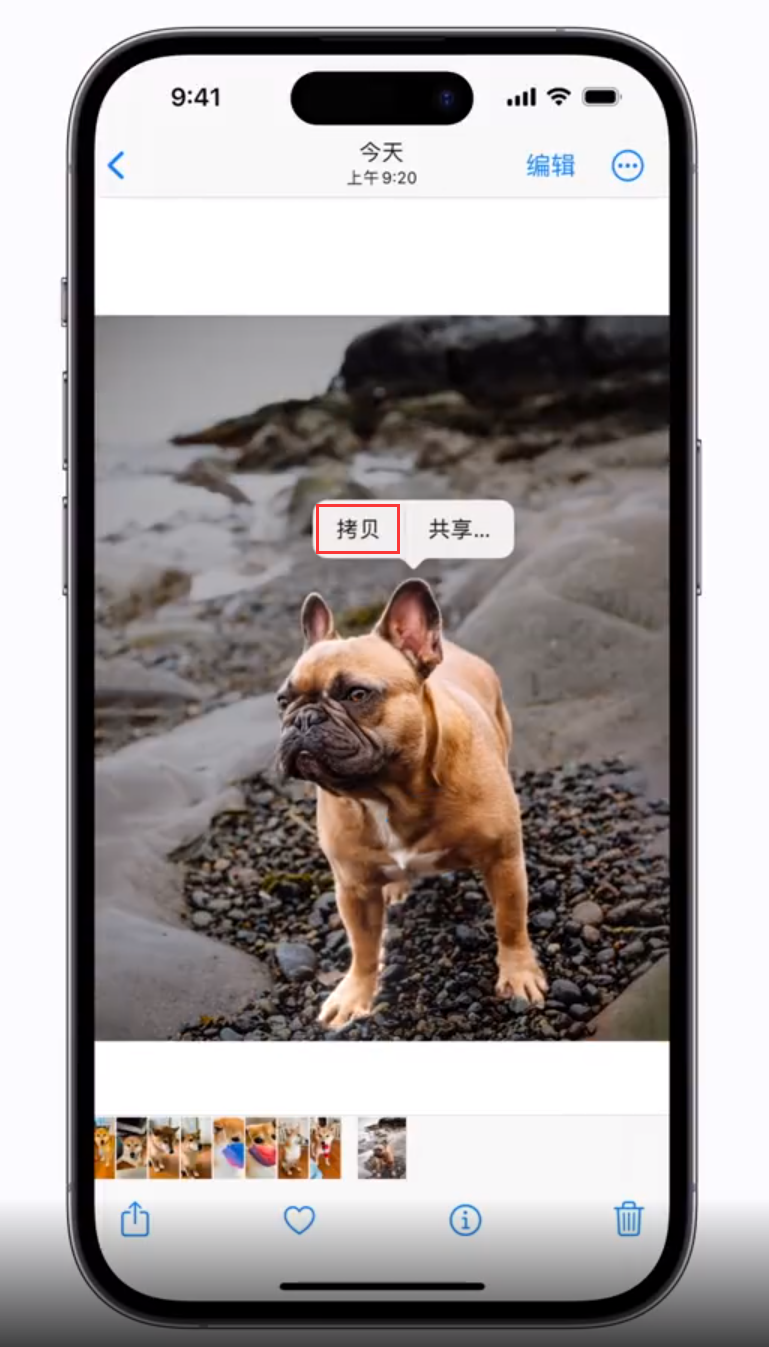 三门峡苹果手机维修分享 iOS 16 自带一键抠图功能 