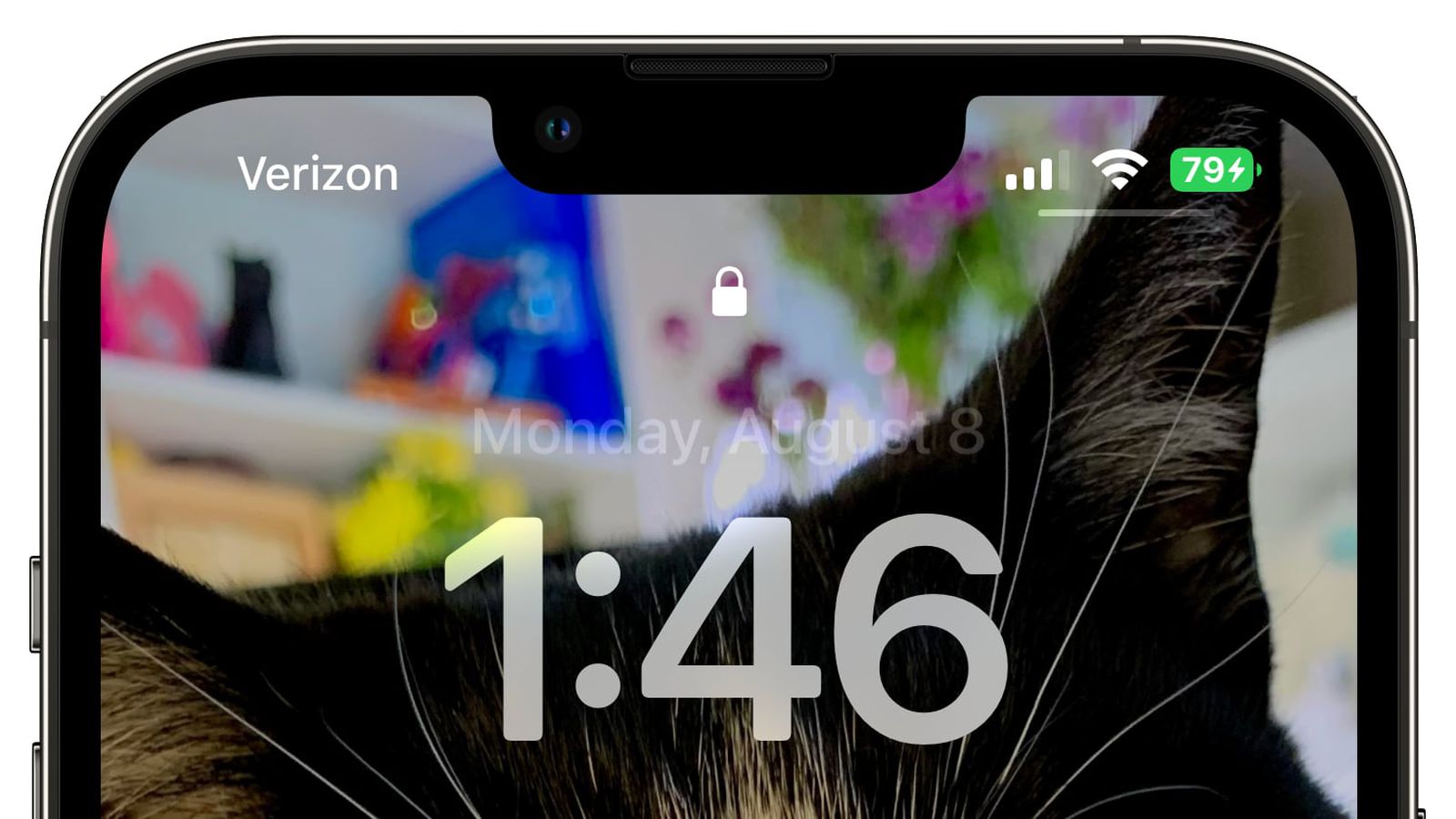 三门峡苹果手机维修分享iOS 16 beta 5 支持状态栏显示电池百分比，如何开启？支持哪些机型 