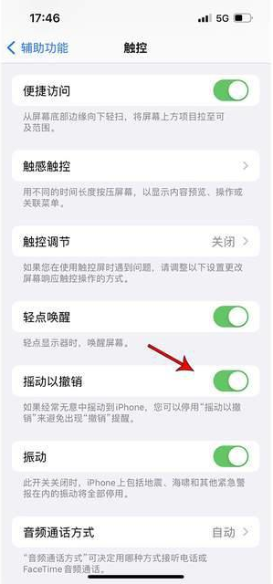 三门峡苹果手机维修分享iPhone手机如何设置摇一摇删除文字 