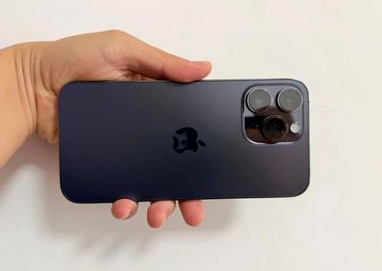 三门峡苹果维修点分享iPhone 14 Pro Max黑屏少见故障盘点 